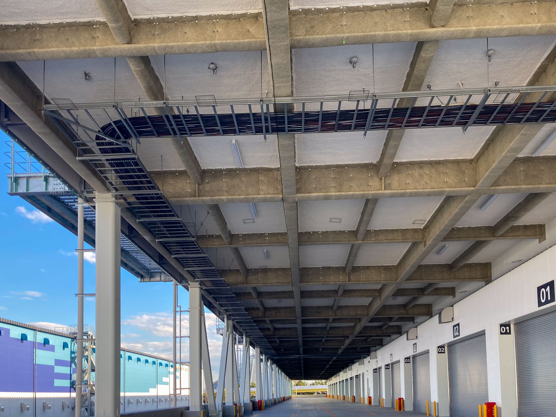 防鳥ネット工事